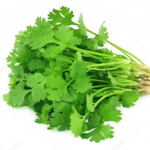 Coriander
