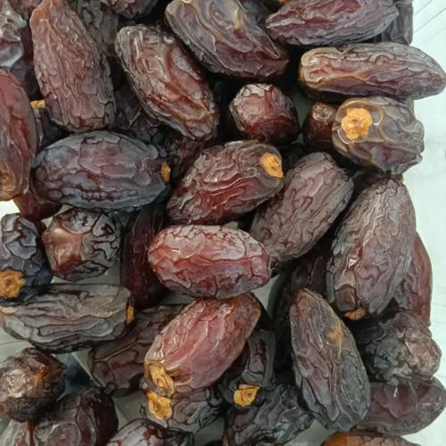 Medjool Dates