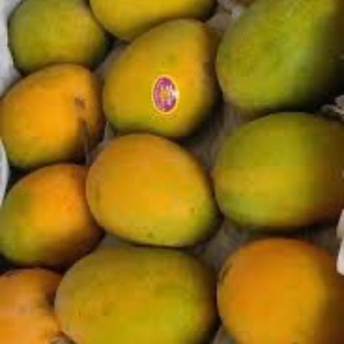 Mango Alphonso Box