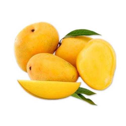 Chaunsa Mango
