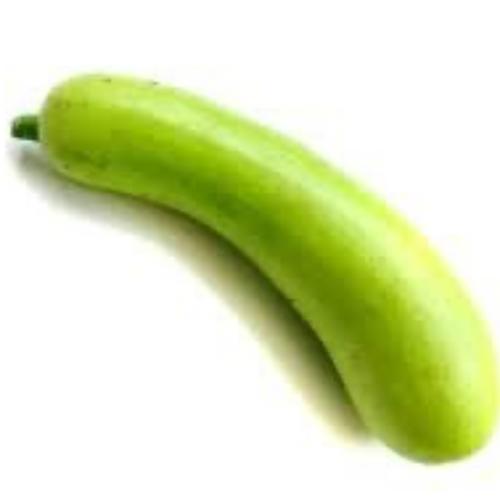 Bottle Gourd
