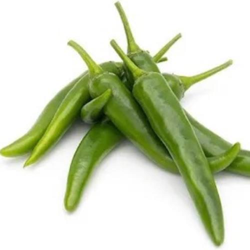 Green Chilli Long
