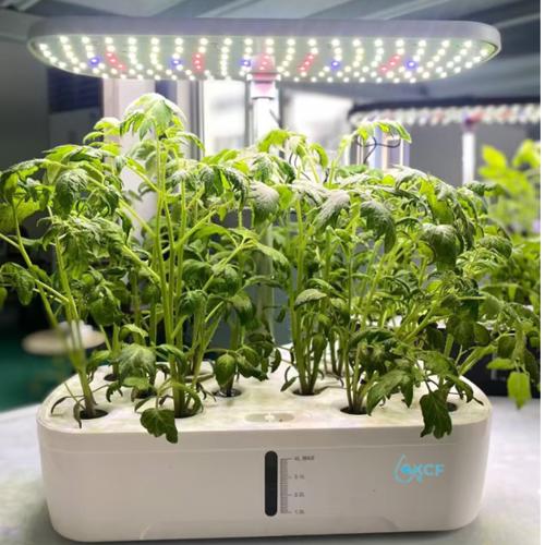 12 pods KIRI Hydroponics Kit(white)