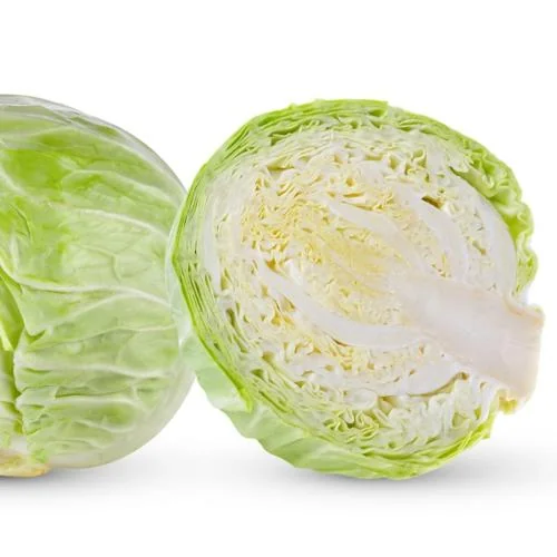 White Cabbage