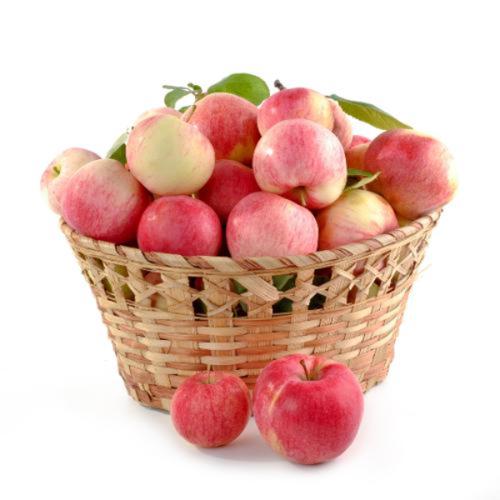 Apple Royal Gala