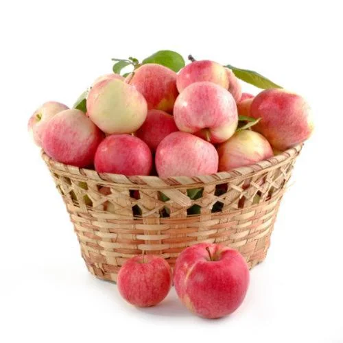 Apple Royal Gala