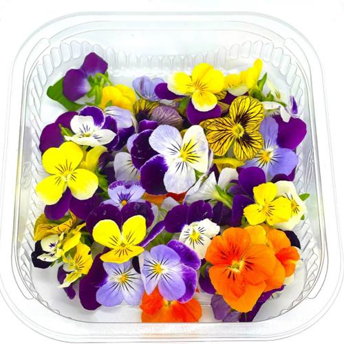 Edible Flowers- Viola Mix