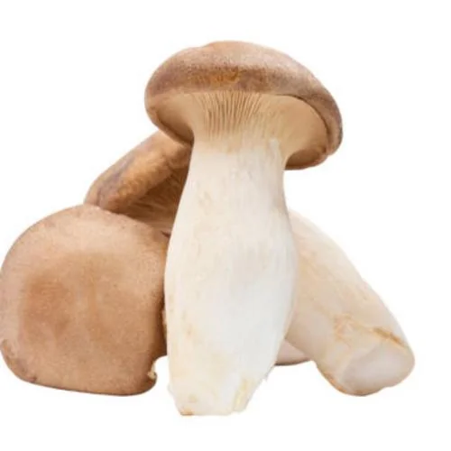 King Oyster Mushroom (Pack)