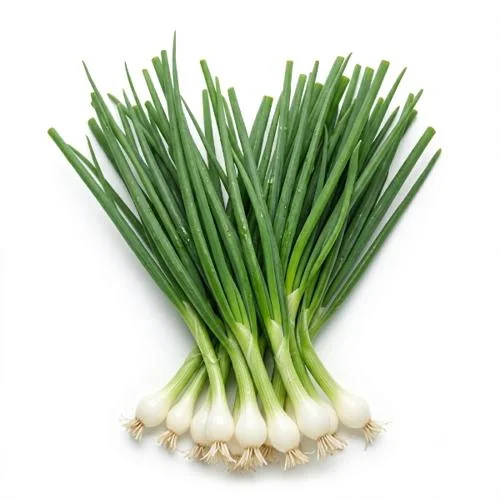 Spring Onion