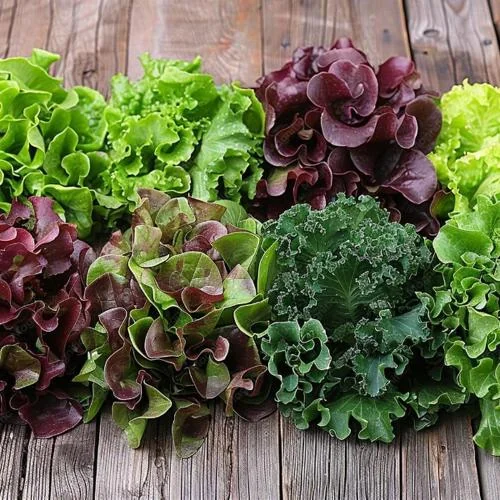 Lettuce Mix Salad Leaves (Pack)