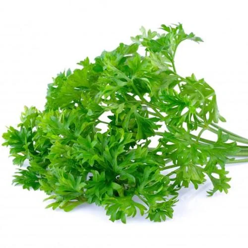 English Parsley