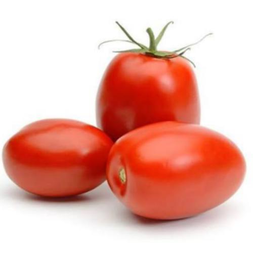 Tomato Plum
