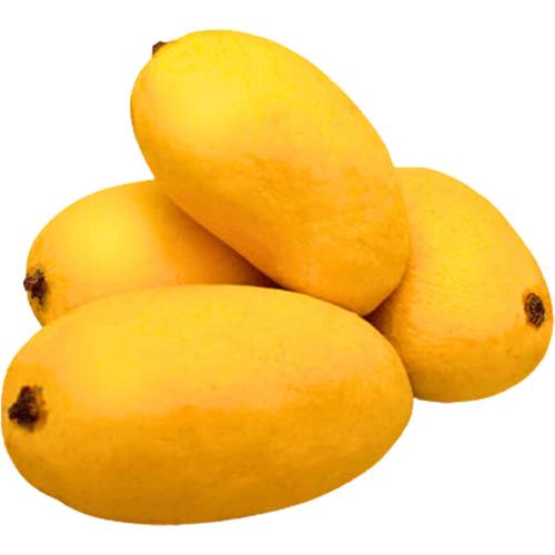 Mango Sindhiri