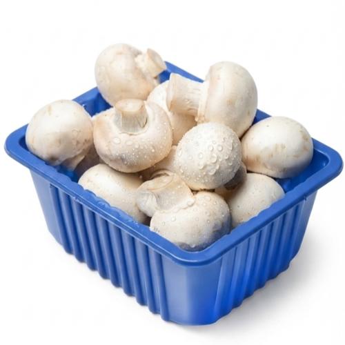 Mushroom White
