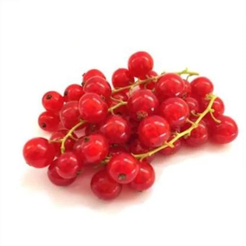 Red Currants
