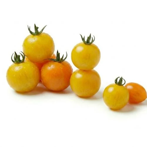 Cherry Tomato Yellow (Pack)