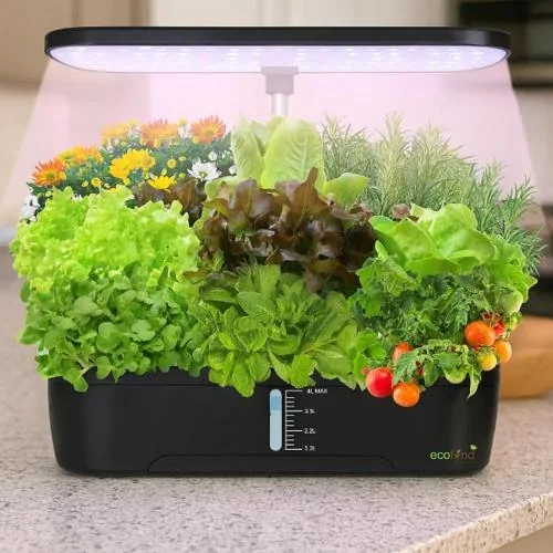 6 pods KIRI Hydroponics Kit (Black)