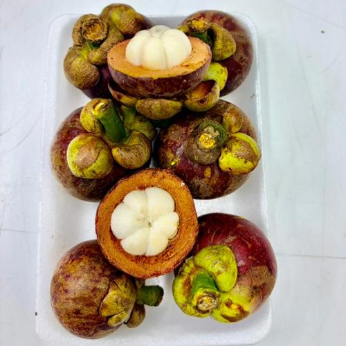 Mangosteen