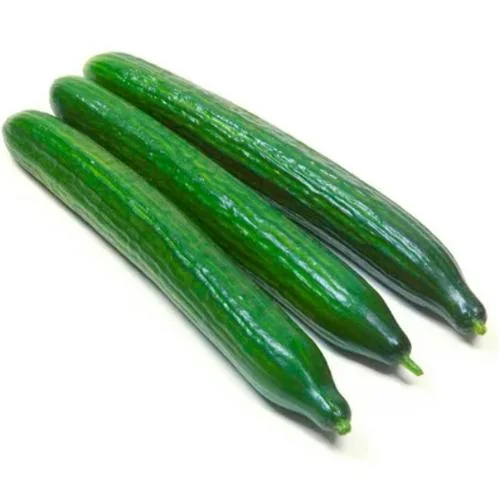 Long Cucumber
