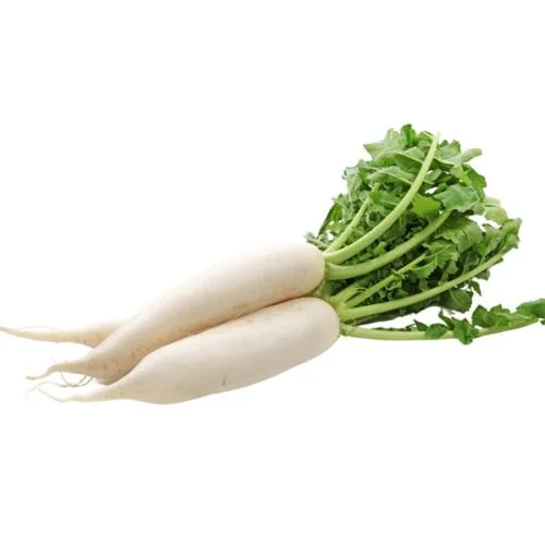 White Radish