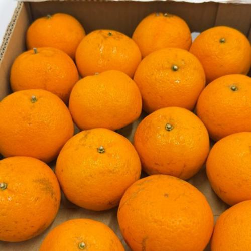Mandarin