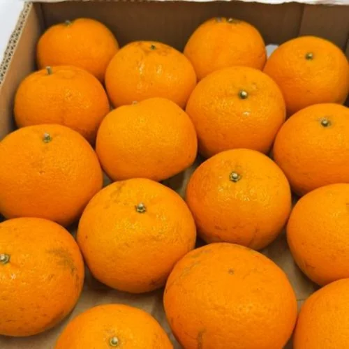 Mandarin