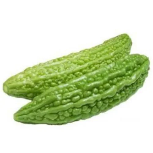 Bitter Gourd