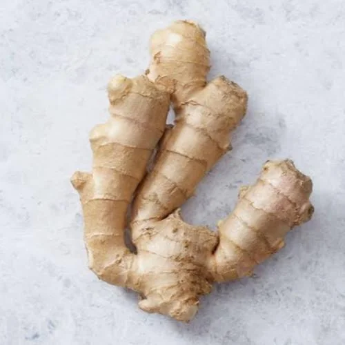 Ginger