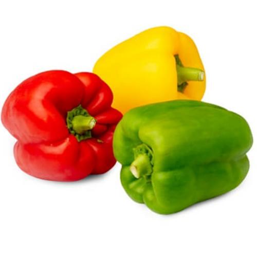Coloured Capsicum