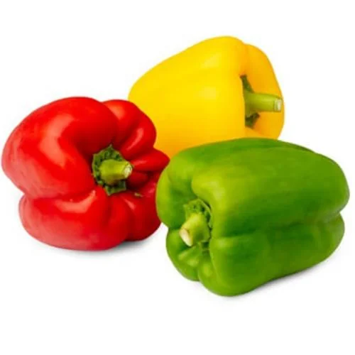 Coloured Capsicum