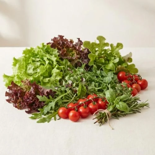 Premium Salads Selection